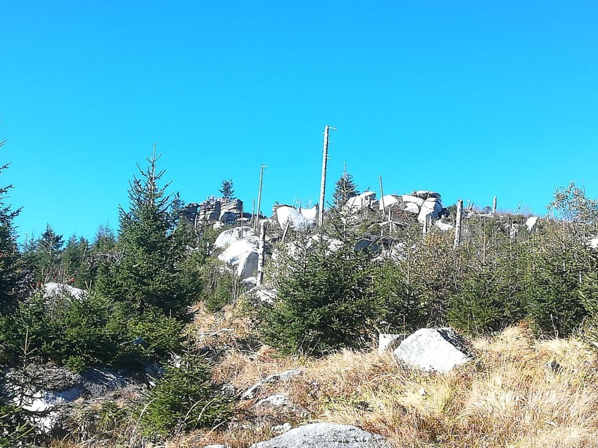 Ferienhof Schaubmeier Klaffer am Hochficht Exteriör bild